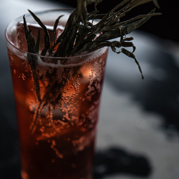 Red Forest Vermouth | Wild Elixir | Pet Nat Rose | Tonic